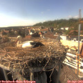 16_05-nest.jpg