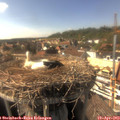 16_10-nest.jpg