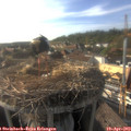 17_45-nest.jpg