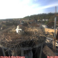 18_10-nest.jpg