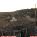 20_00-nest.jpg