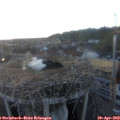 20_05-nest.jpg