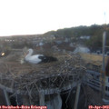 20_15-nest.jpg