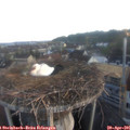 06_25-nest.jpg