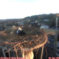 06_30-nest.jpg