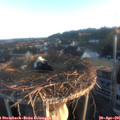 06_35-nest.jpg