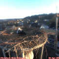 06_40-nest.jpg