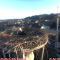 06_45-nest.jpg