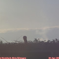 07_00-mast.jpg