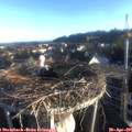 07_00-nest.jpg