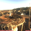 07_05-nest.jpg