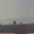 07_10-mast.jpg