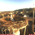 07_10-nest.jpg
