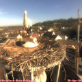 08_00-nest.jpg