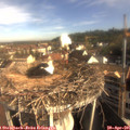 08_40-nest.jpg