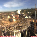 09_00-nest.jpg