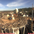 09_05-nest.jpg
