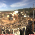 09_10-nest.jpg