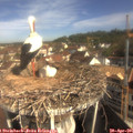 09_30-nest.jpg