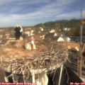 09_40-nest.jpg