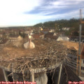 10_00-nest.jpg