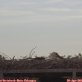 10_05-mast.jpg