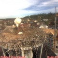 10_05-nest.jpg