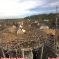 10_10-nest.jpg
