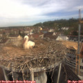 10_15-nest.jpg