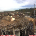 10_20-nest.jpg
