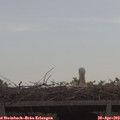 10_25-mast.jpg