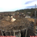 10_30-nest.jpg