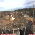 10_35-nest.jpg