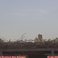 10_40-mast.jpg