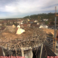 10_40-nest.jpg