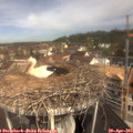 10_45-nest.jpg