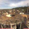 10_55-nest.jpg