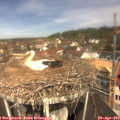 11_20-nest.jpg