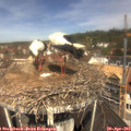 11_30-nest.jpg