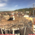 12_05-nest.jpg