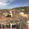 12_10-nest.jpg