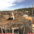 12_15-nest.jpg
