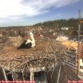 12_20-nest.jpg