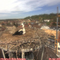 12_25-nest.jpg