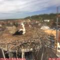 12_30-nest.jpg