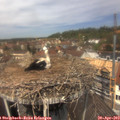 12_35-nest.jpg