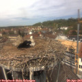 12_45-nest.jpg
