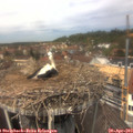 12_55-nest.jpg