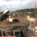 14_25-nest.jpg