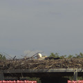 14_30-mast.jpg